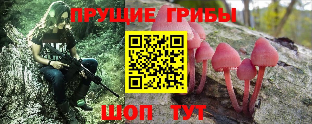 Советская Гавань  Псилоцибиновые грибы Psilocybine cubensis  Вход с VPN  Псилоцибиновые грибы Magic Shrooms 